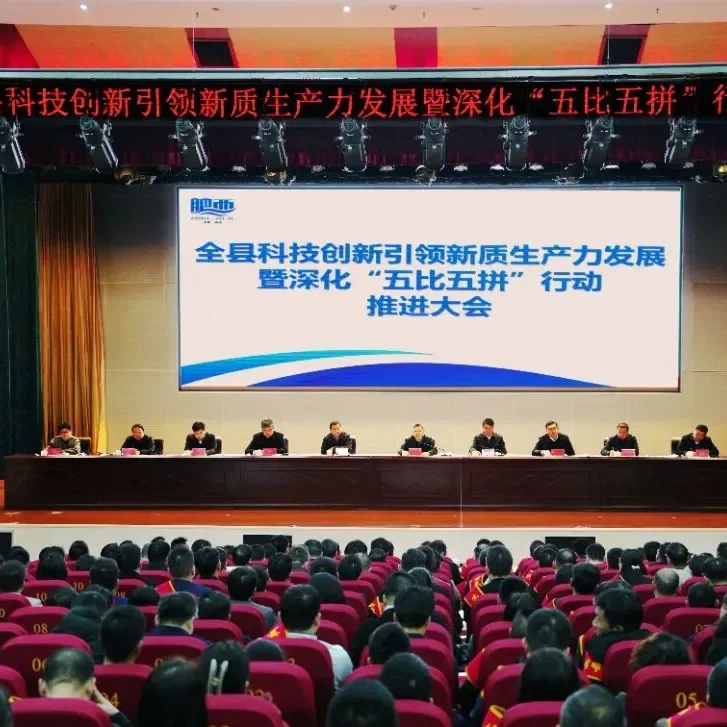 Первая встреча Нового года состоится!Чжункэ Линьи стал победителем конкурса “Орлиное предприятие округа Фэйси 2025”