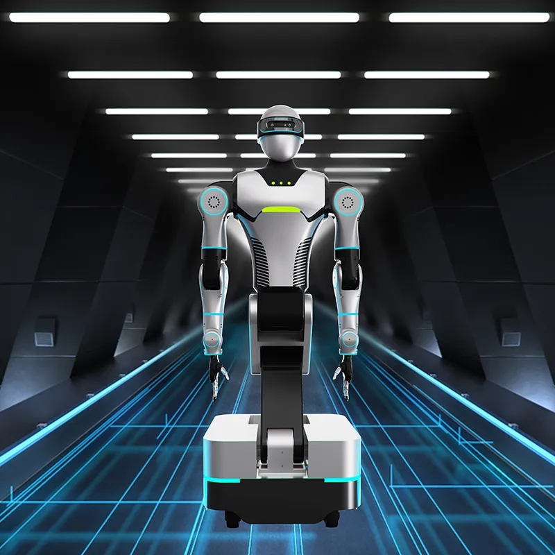 Колёсный антропоморфный робот LSRobot-001