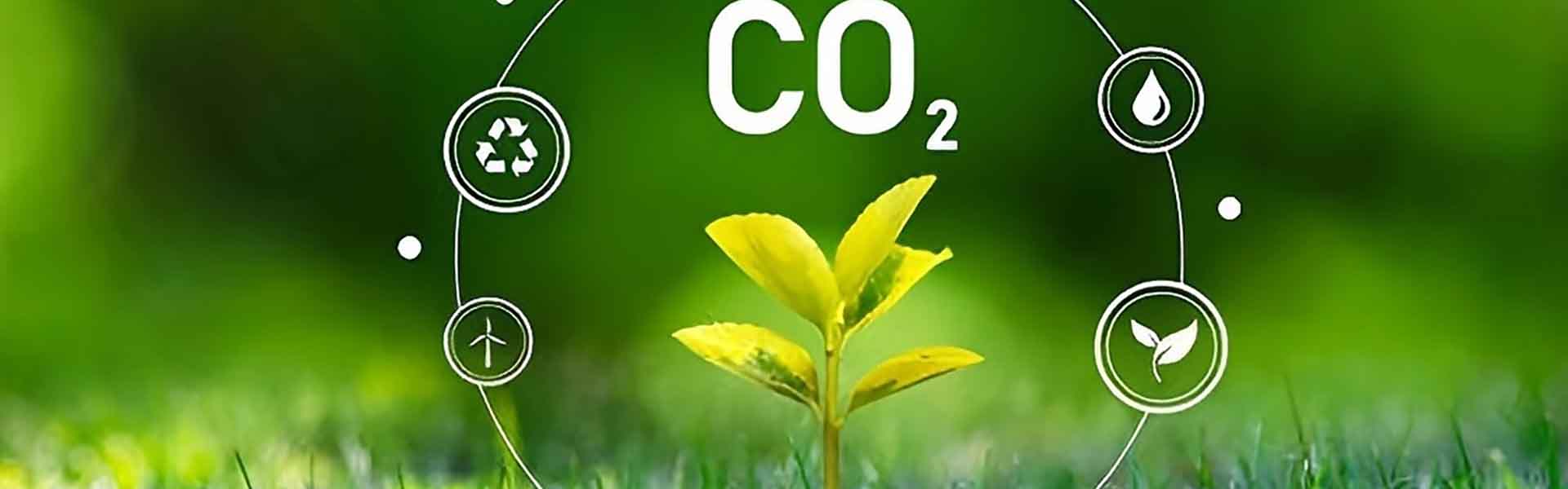 Химикаты на основе CO2