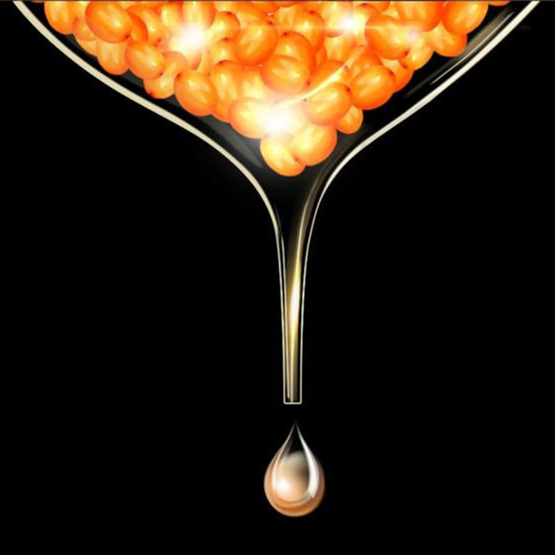 Описание и применение роторно-пластинчатой экстракционной колонны DODGEN