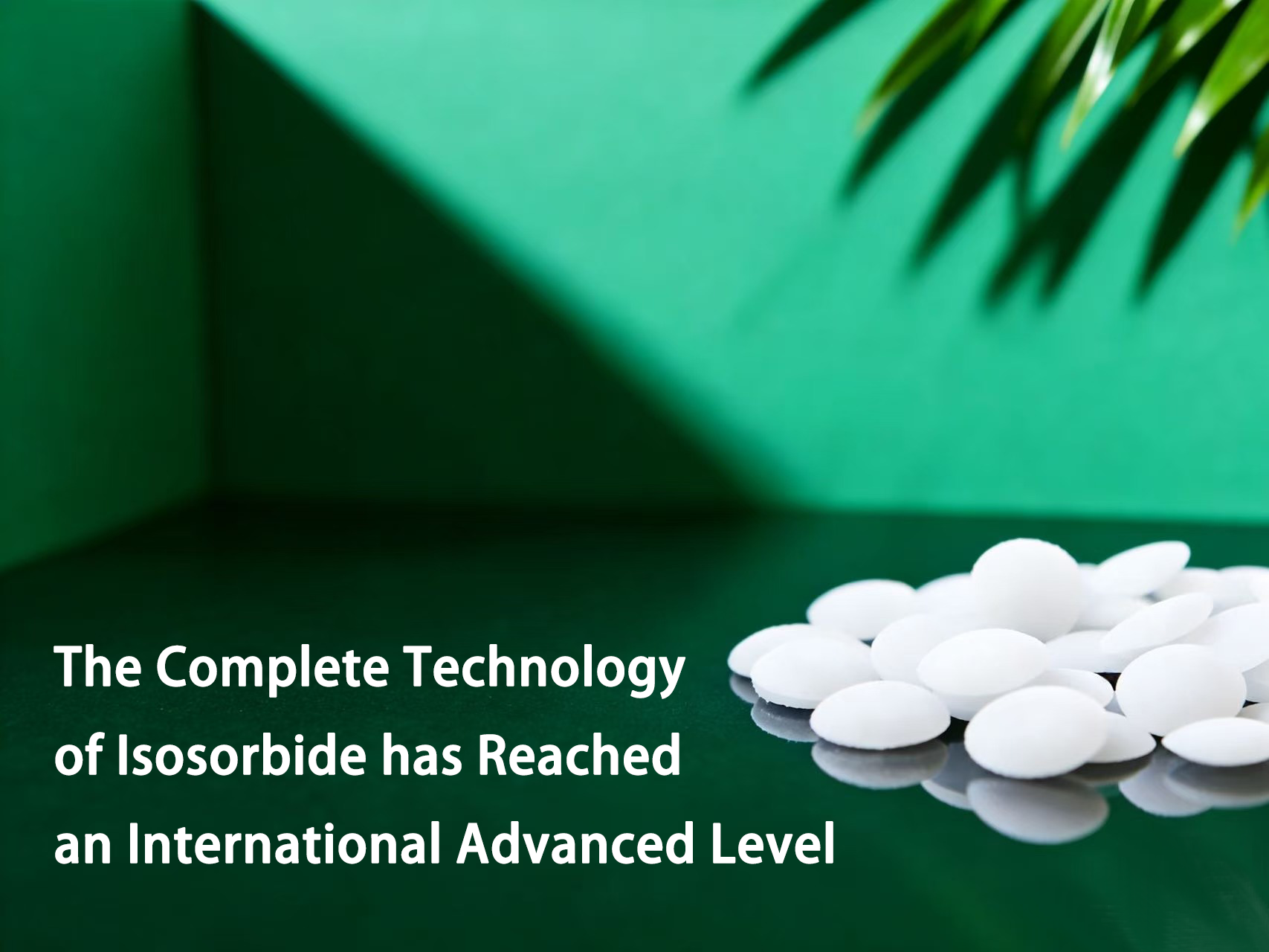 Возглавляя зеленое будущее | Технология производства ключевых мономеров для материалов на биооснове компании DODGEN вышла на передовой международный уровень