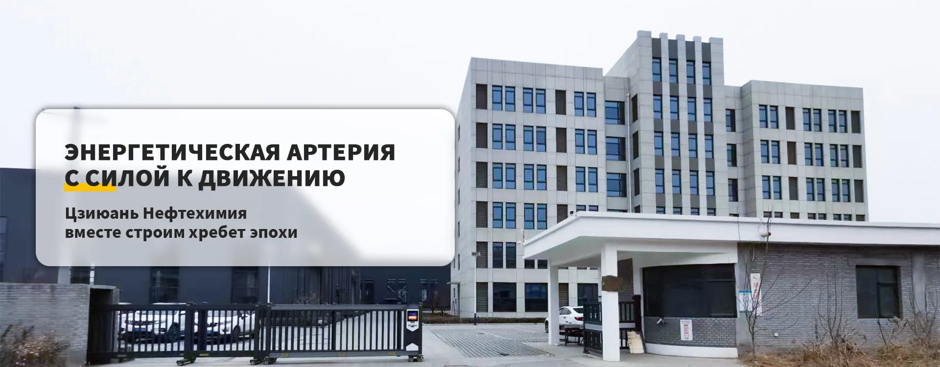 Сетчатый купол banner3