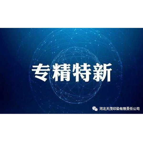 Наша компания была признана «специализированным, усовершенствованным, отличительным и инновационным демонстрационным предприятием».