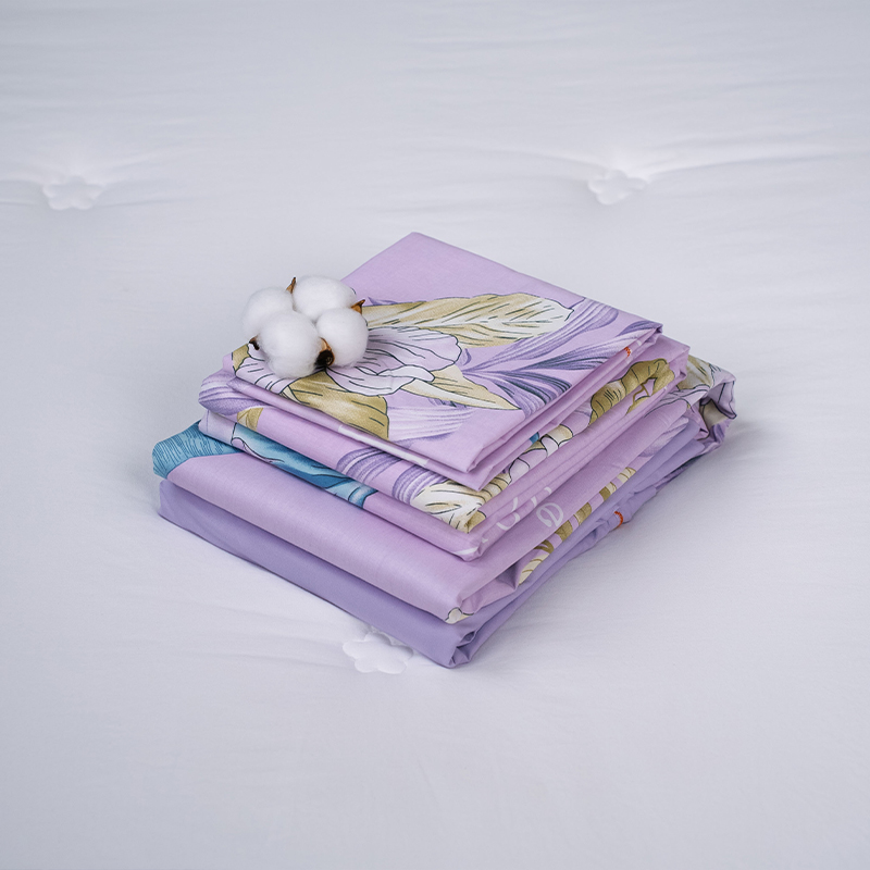 Комплект из трех частей студенческих общежитий ...