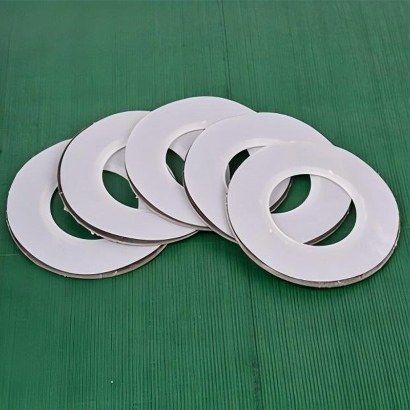 PTFE футерованные прокладки