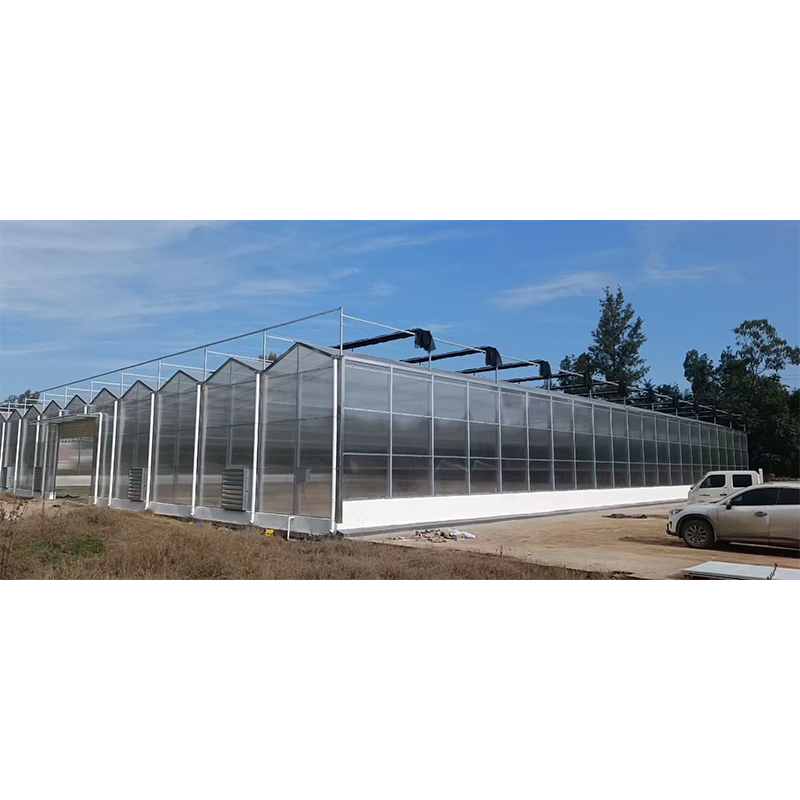 Теплоулавливающая пластина для теплиц/сельскохозяйственных теплиц