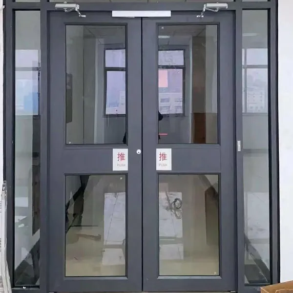 Двери “KFC”/распашные двери с напольным доводчиком