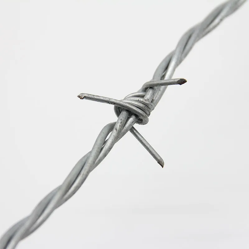 Колючая проволока