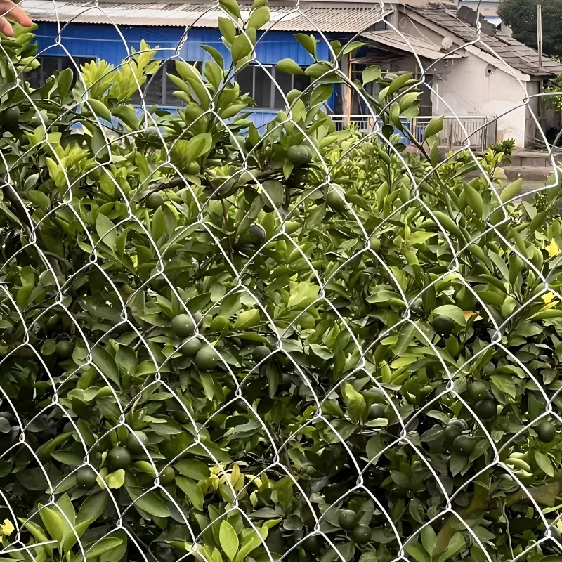 Есть так много скрытых употреблений в сети Гухуа!