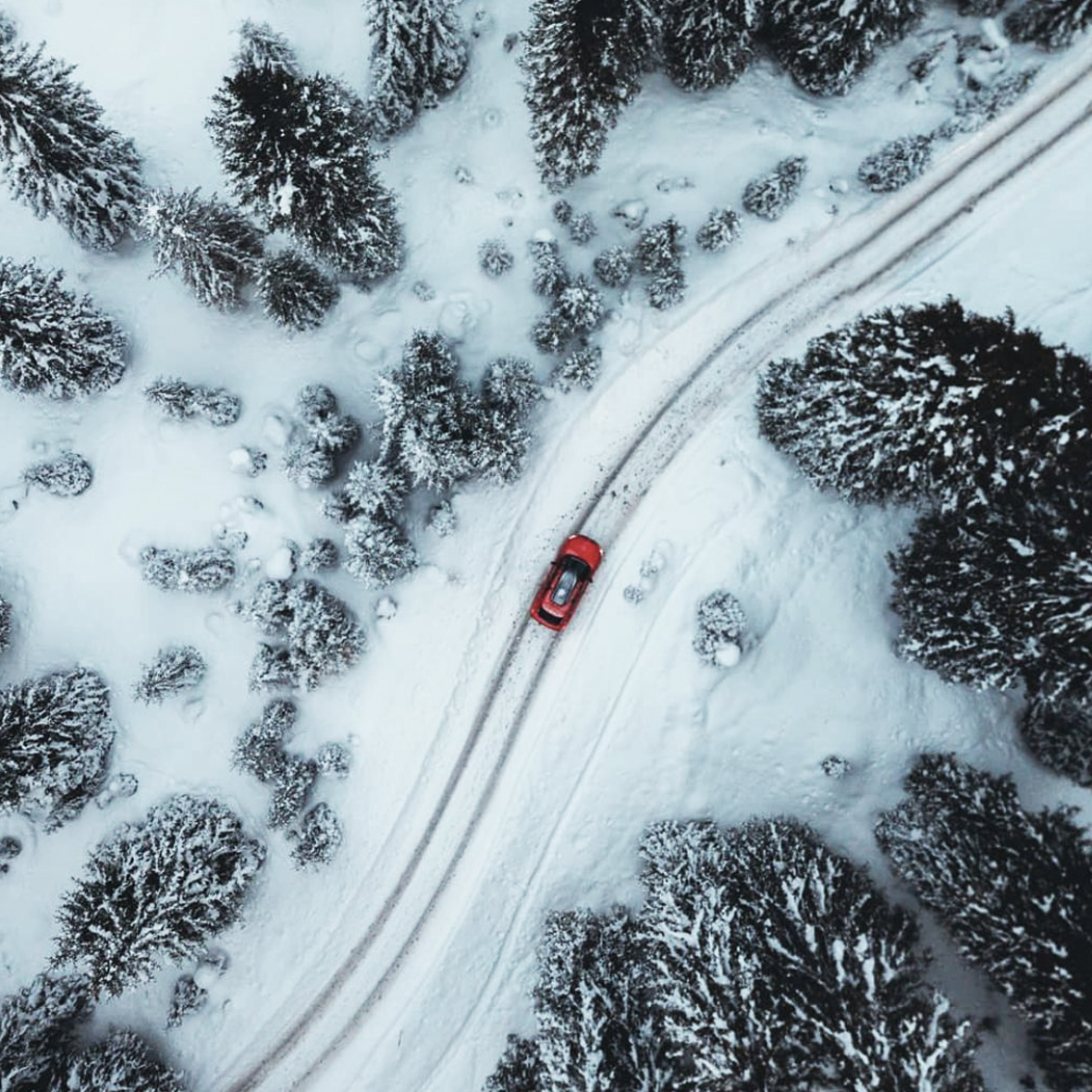 winter