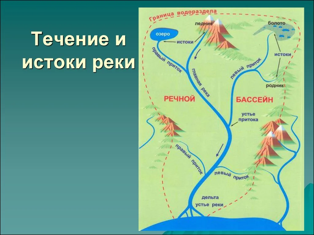 Раннее обнаружение притока 2026: новые технологии и цены