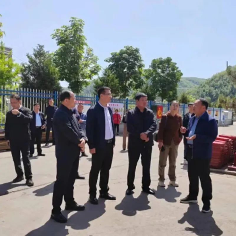 Вице-мэр города Яньань Лю Тао посетил инновационную компанию с целью проверки и исследования