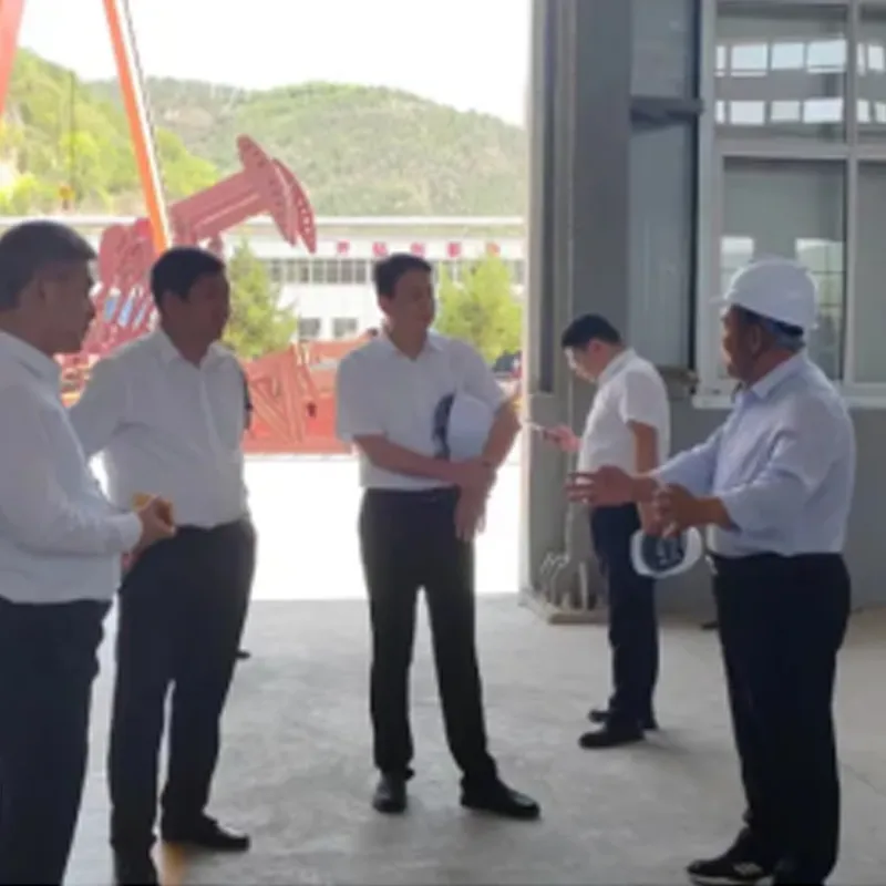 Компания Китайская судостроительная компания Хайшен Медицинские технологии Ко., Лтд. посетила нашу компанию с рабочим визитом