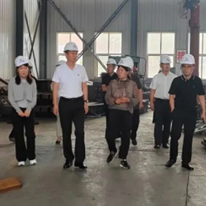 Ма Цзянли, член партийной руководящей группы и заместитель председателя Федерации профсоюзов города Яньань, посетил нашу компанию с исследовательской целью