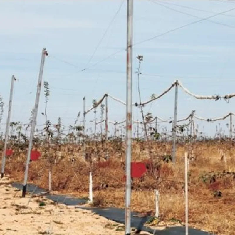 Подъемные механизмы