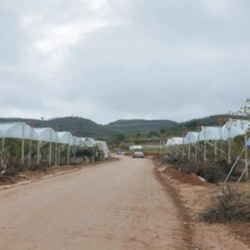 Продукция категории теплиц и навесов