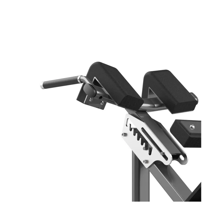 FW-1006 Гиперэкстензия