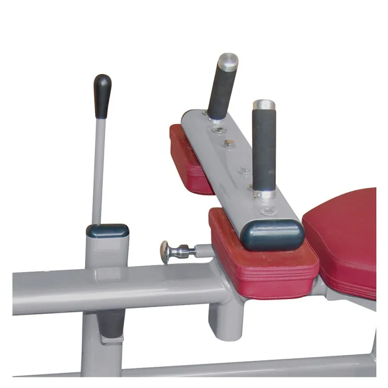 FW-1017 Сидячая атлетика