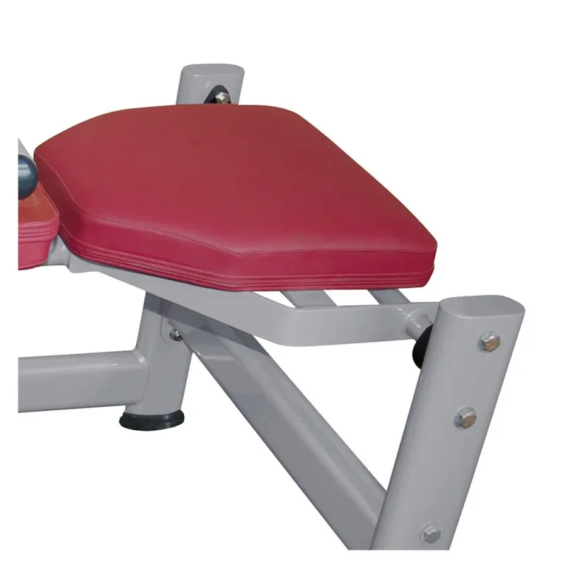 FW-1017 Сидячая атлетика