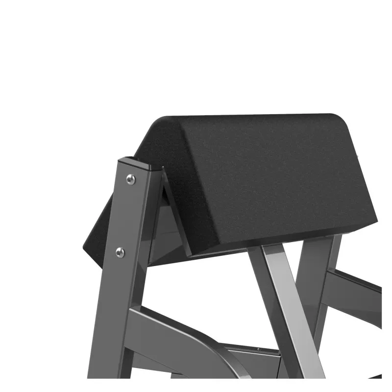 FW-2004 Скручивание рук сидя