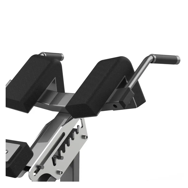 FW-2006 Гиперэкстензия