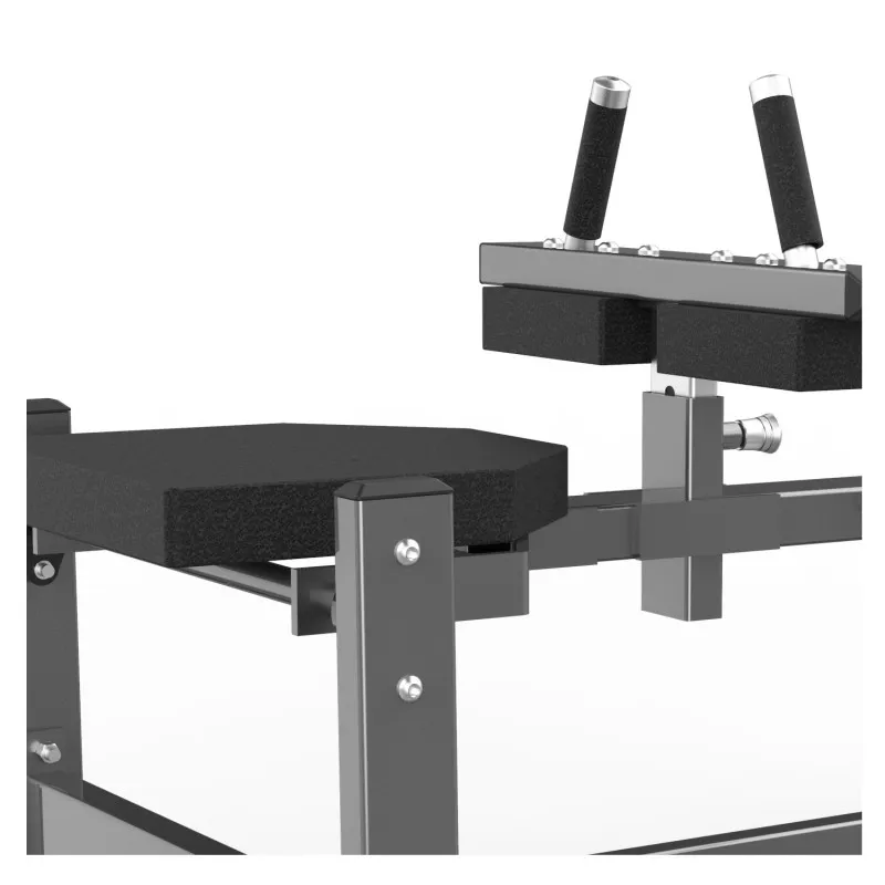 FW-2017 Сидячая атлетика