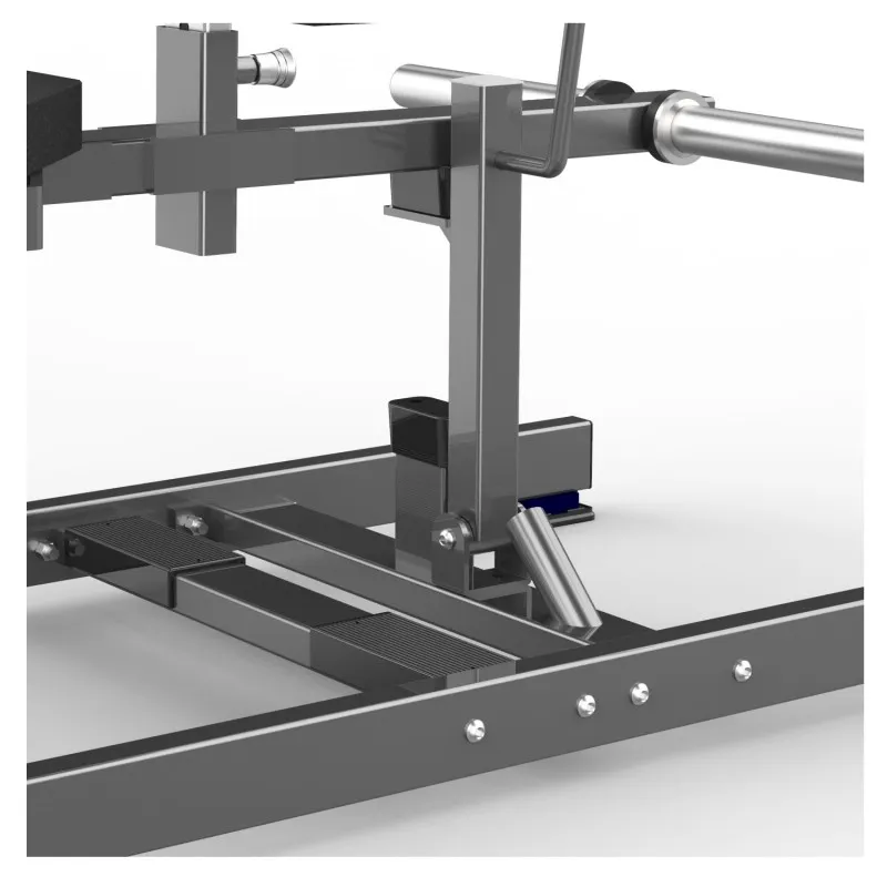 FW-2017 Сидячая атлетика