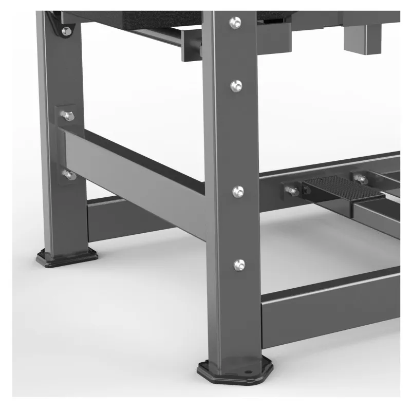 FW-2017 Сидячая атлетика