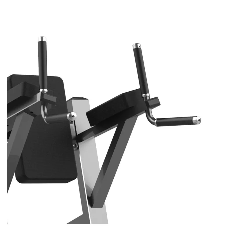 FW-2025 Подъем ног