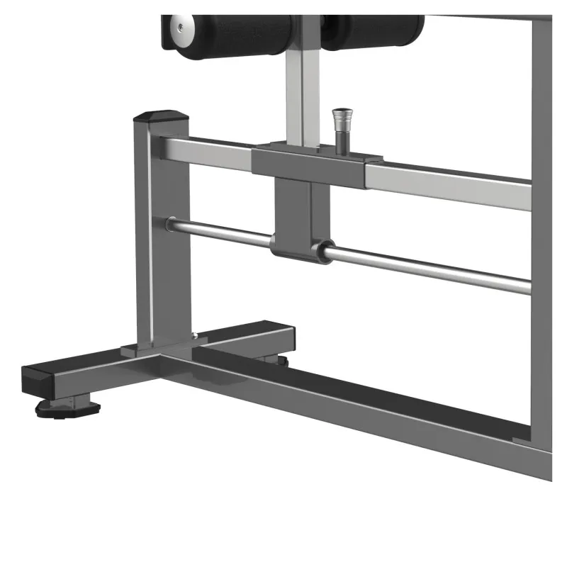 FW-2029 Подъем ягодичных мышц