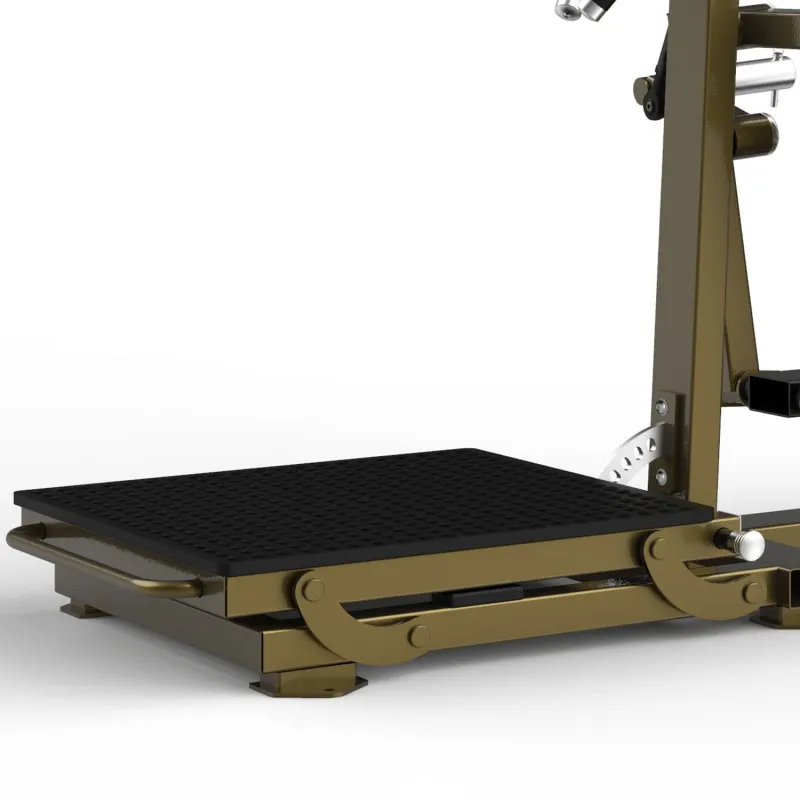 LD-1004 Боковой подъем/задние дельтовидные мышцы