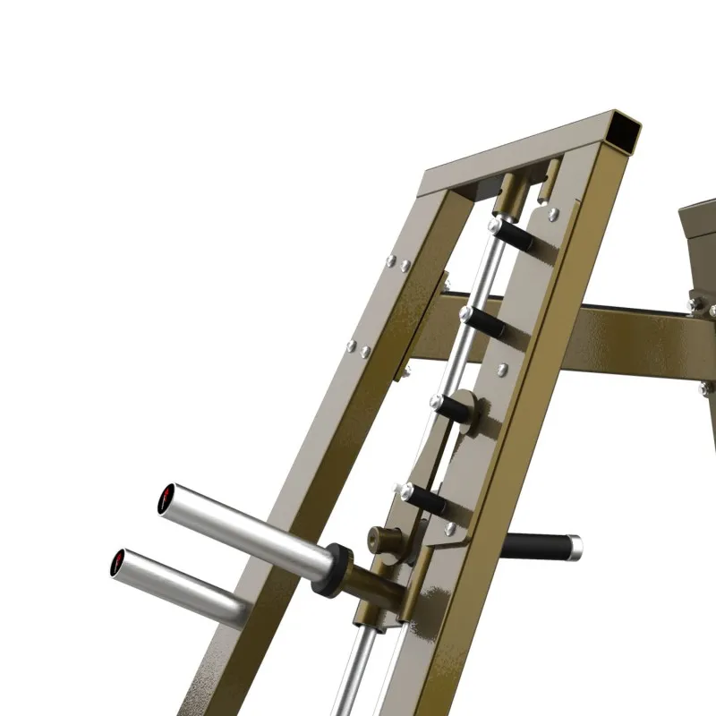 LD-1007 Силовая машина Смита двойная система