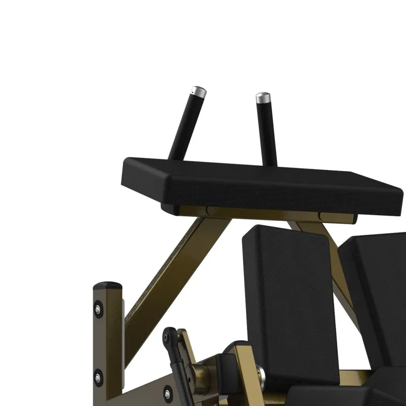 LD-2002 Скручивания на коленях