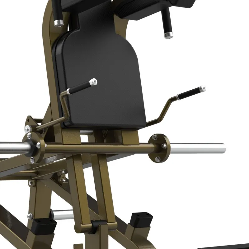 LD-2003 Приседание в обе стороны