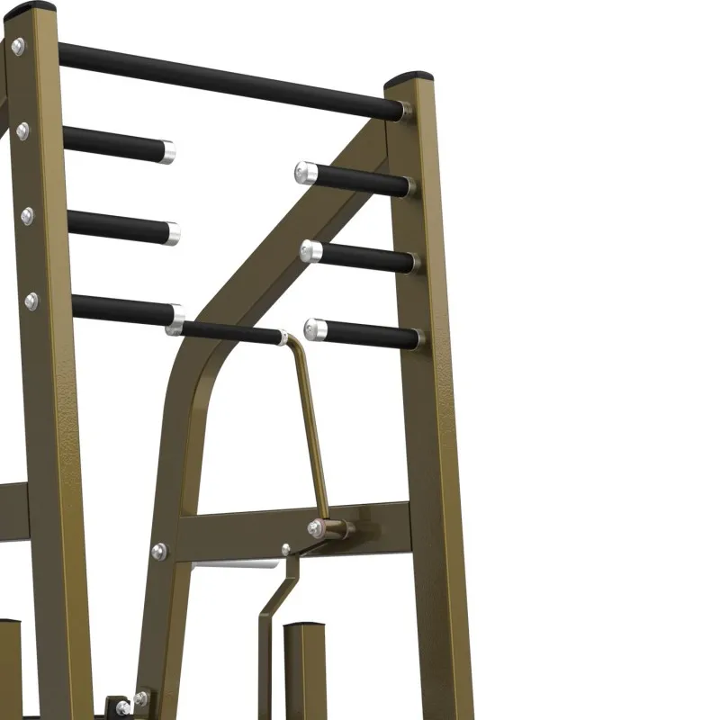 LD-2004 Приседания с поясом