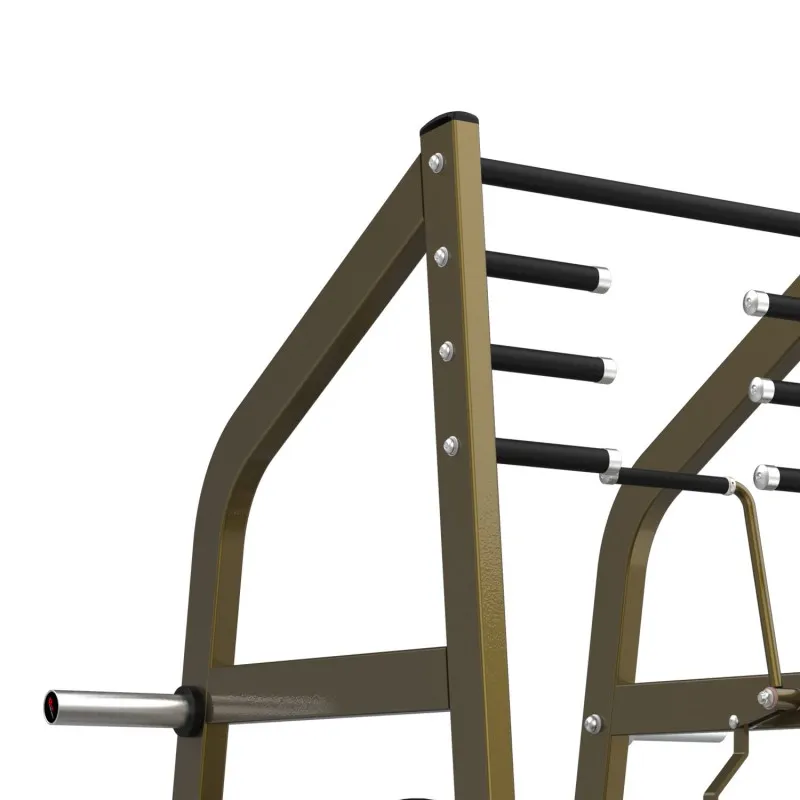 LD-2004 Приседания с поясом