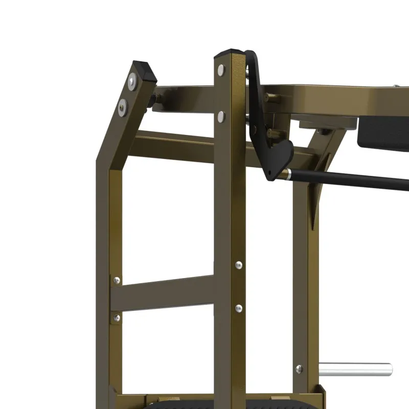 LD-2006 Маятниковое приседание