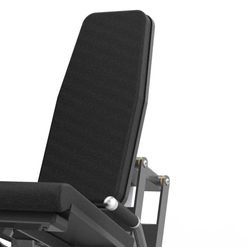 M2-1005 Разгибание ног