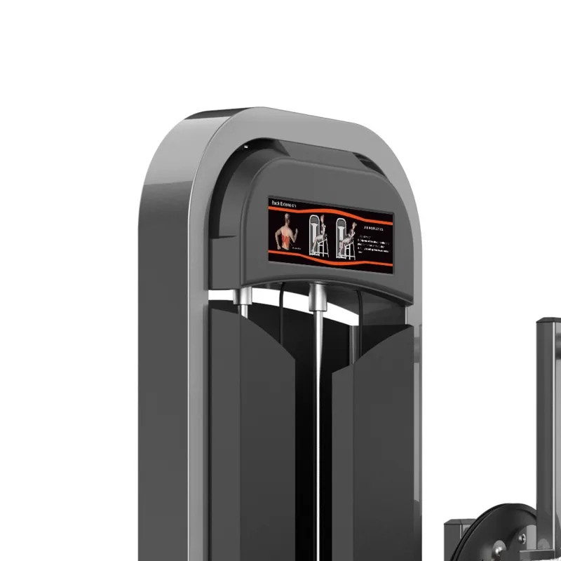 M2-1016 Разгибание спины