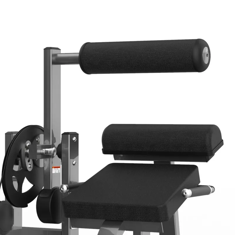 M2-1016 Разгибание спины