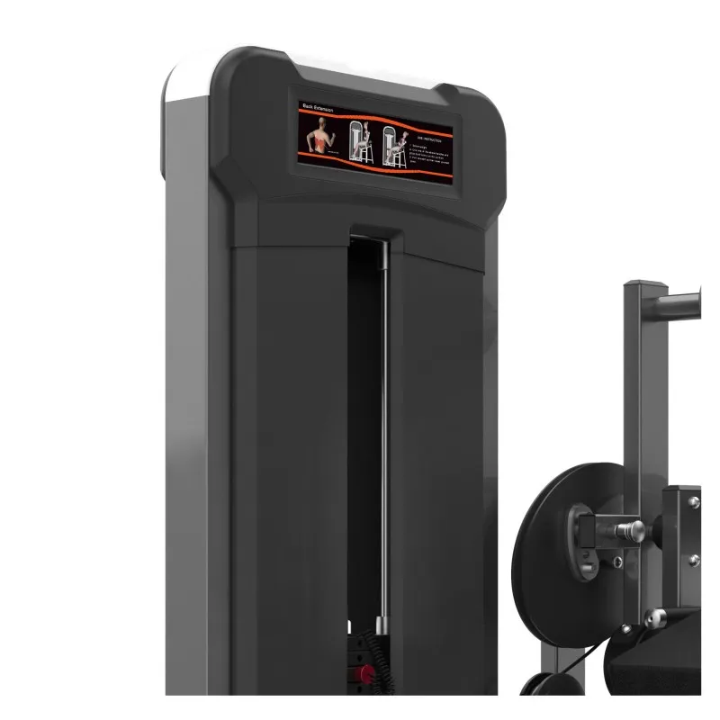 M3-1016 Разгибание спины