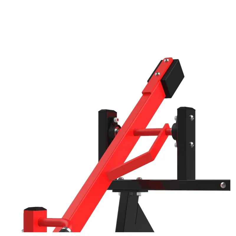 RS-1028 Выпад с приседанием