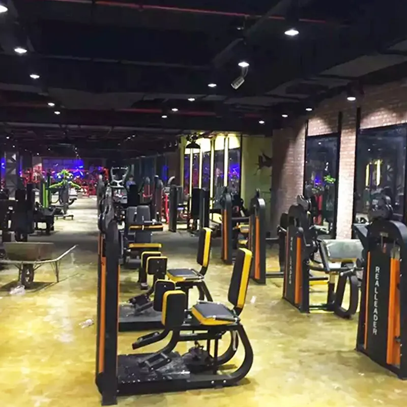 Спортивное оборудование для тренажерного зала производитель