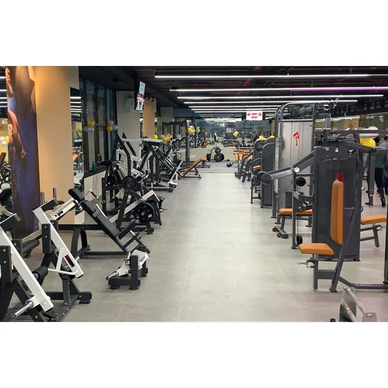 Сведение и разведение ног в тренажере продукт