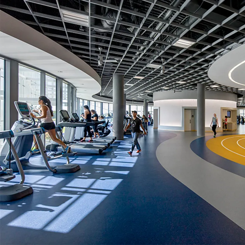 Инновационное фитнес оборудование для современных тренировок