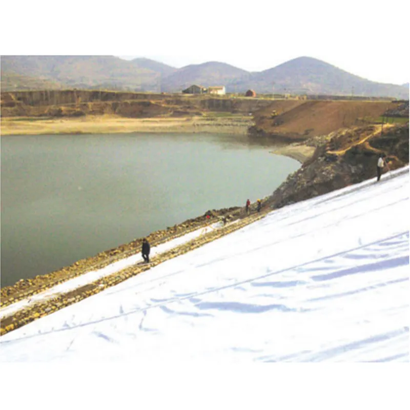 Проект гидротехнических сооружений в ганьсу, построенный нашей компанией, сегодня успешно прошел приемку и объявил о завершении