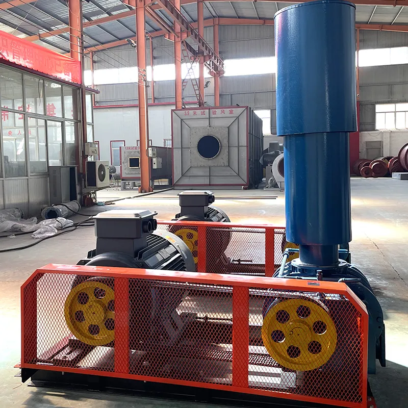 Вентилятор Рутса