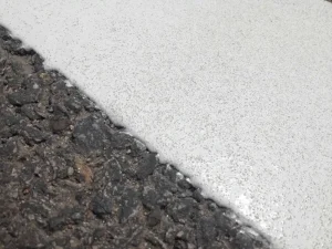 bs (6)