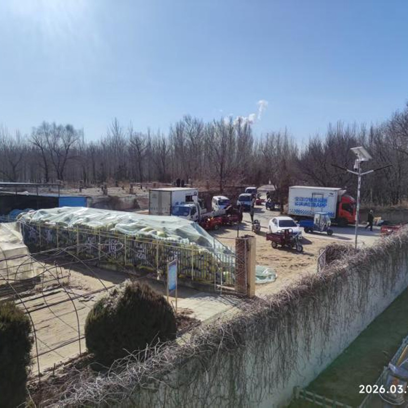 Продажи семенного картофеля компании Синноу Текнолоджи идут на ура