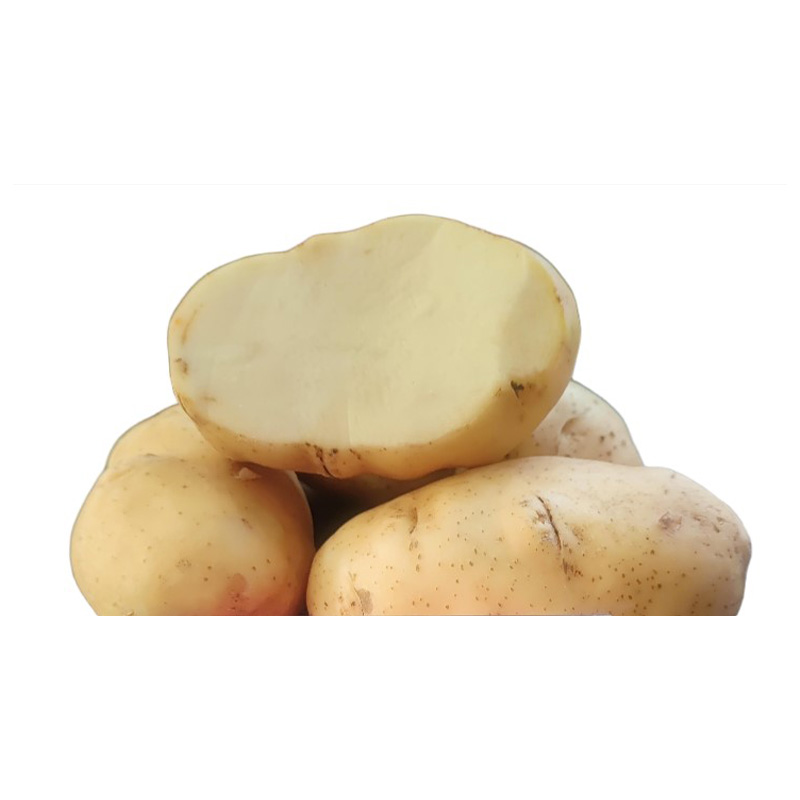 Столовый картофель